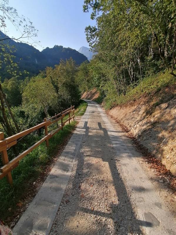 Kamp Koren — Photo 6