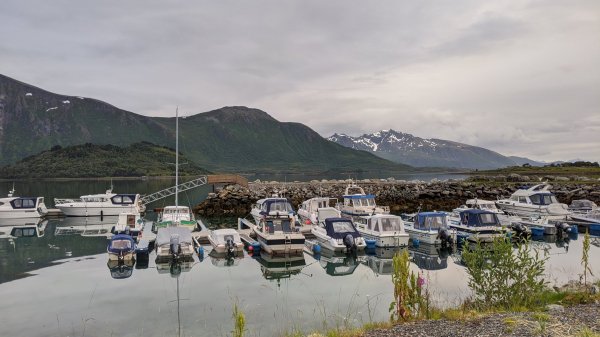 Sigerfjord båthavn — Photo 4