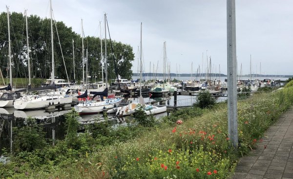 Marina Numansdorp — Photo 2