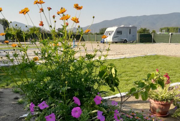 Sunny Paradise Campsite — Photo 3
