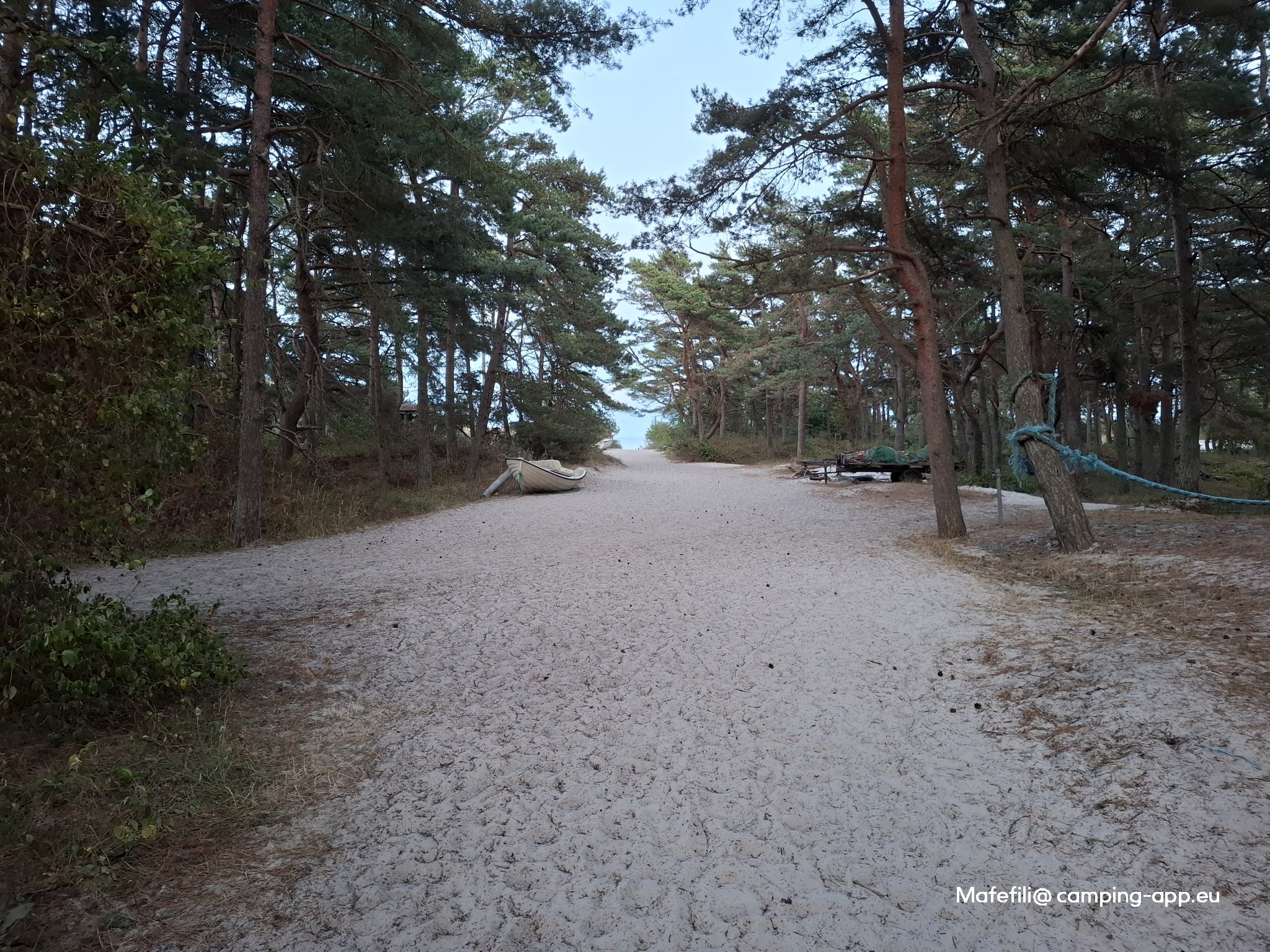 Borrbystrands Camping — Fotografie 2