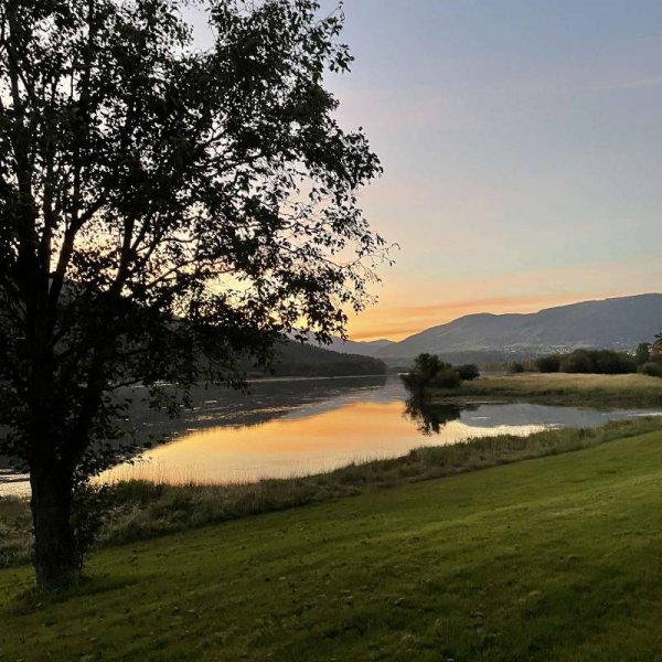 Camperplaats Maascamp — Photo 2