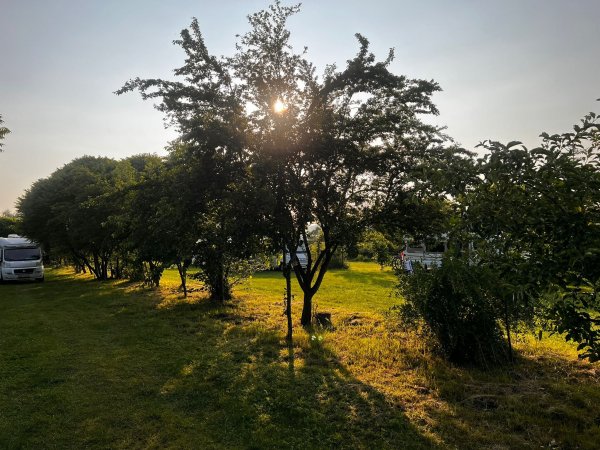 Camping De Oude Wilg — Photo 5