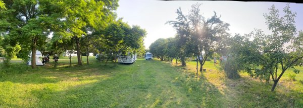 Camping De Oude Wilg — Photo 3