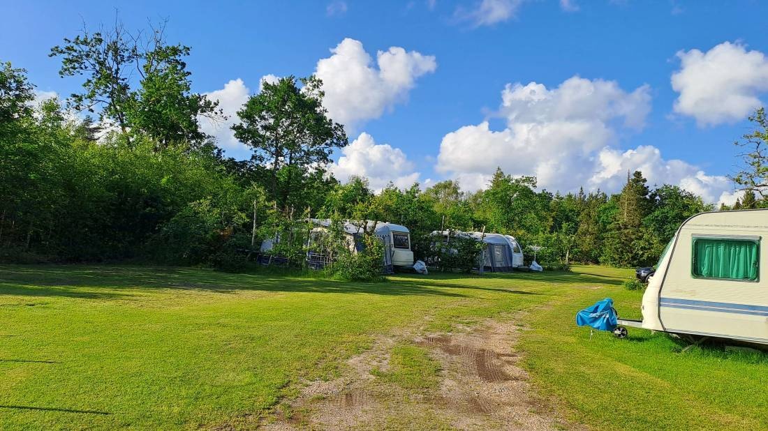 Ringkøbing Camping — Campingplass in Ringkøbing