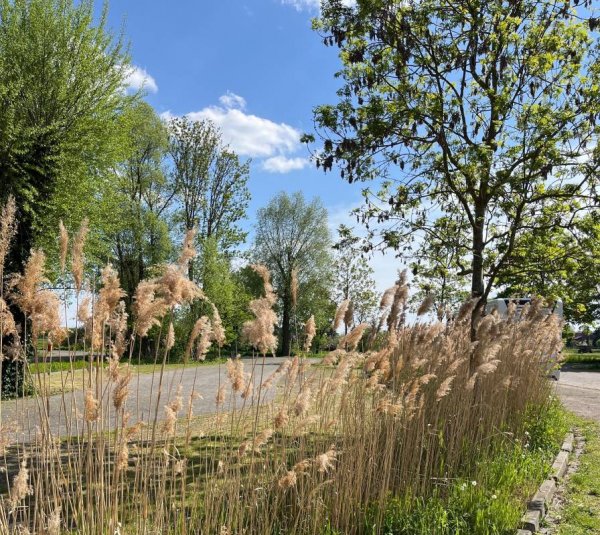 Wohnmobilstellplatz Am Burglehn — Photo 5