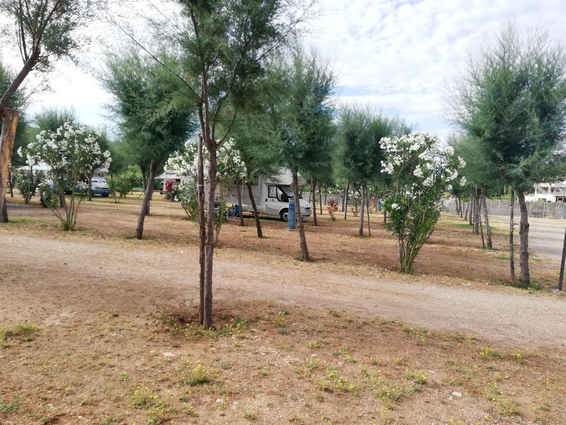 Sosta Camper Baia di Peschici — Aire camping car in Valle Clavia