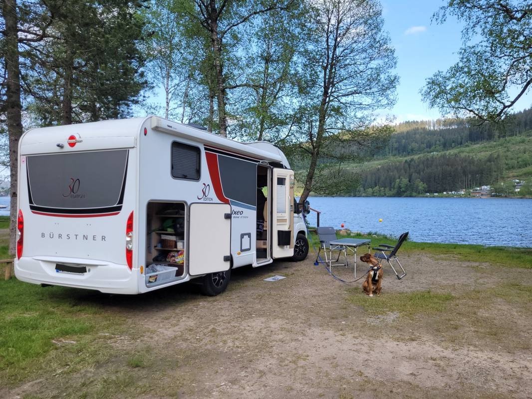 Naturcamping Weiherhof — Campingplats in Hinterarten Titisee