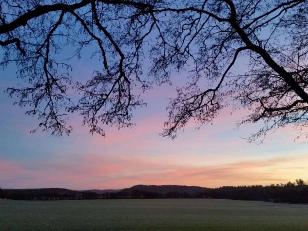 Tanums Camping & Stugby — Photo 2