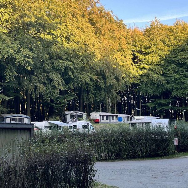 Krüger Naturcamping — Photo 4