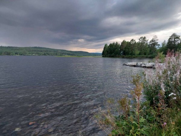Rätans Camping — Photo 3