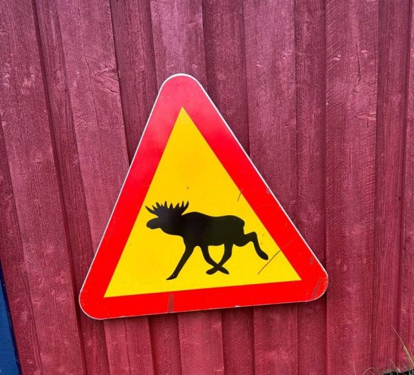 Kvarnsjö Camp — Photo 6