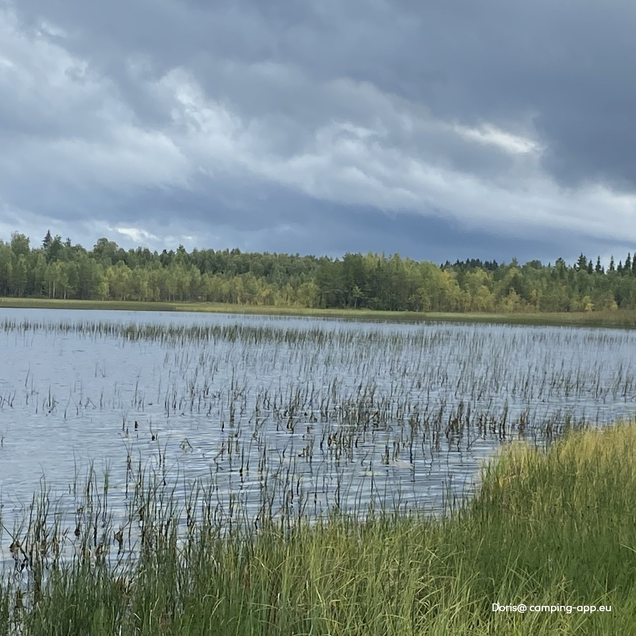 Kolbacken Camping — Photo 2