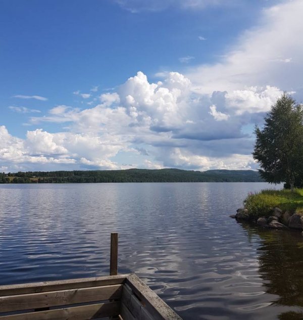 Hoverbergs Båthamn & Camping — Photo 2