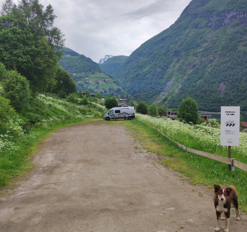 Homlong Camping — Campingplads in Geiranger