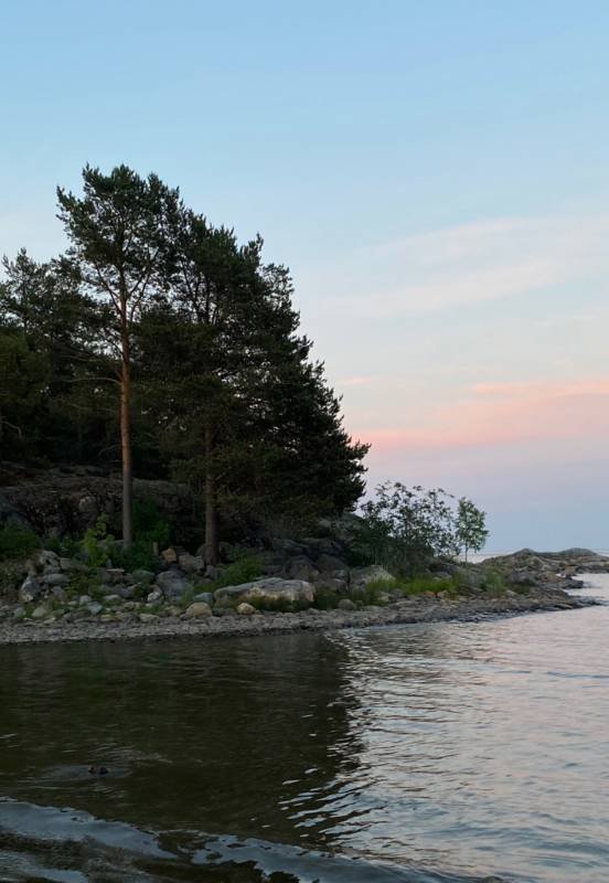 First Camp Fläsian Sundsvall — Photo 4