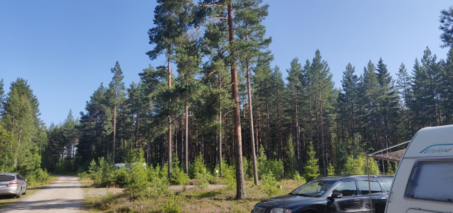 Ångersjöns Vildmarkscamping — Kamp yeri in Berghem