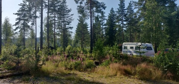 Ångersjöns Vildmarkscamping — Campingplads in Berghem