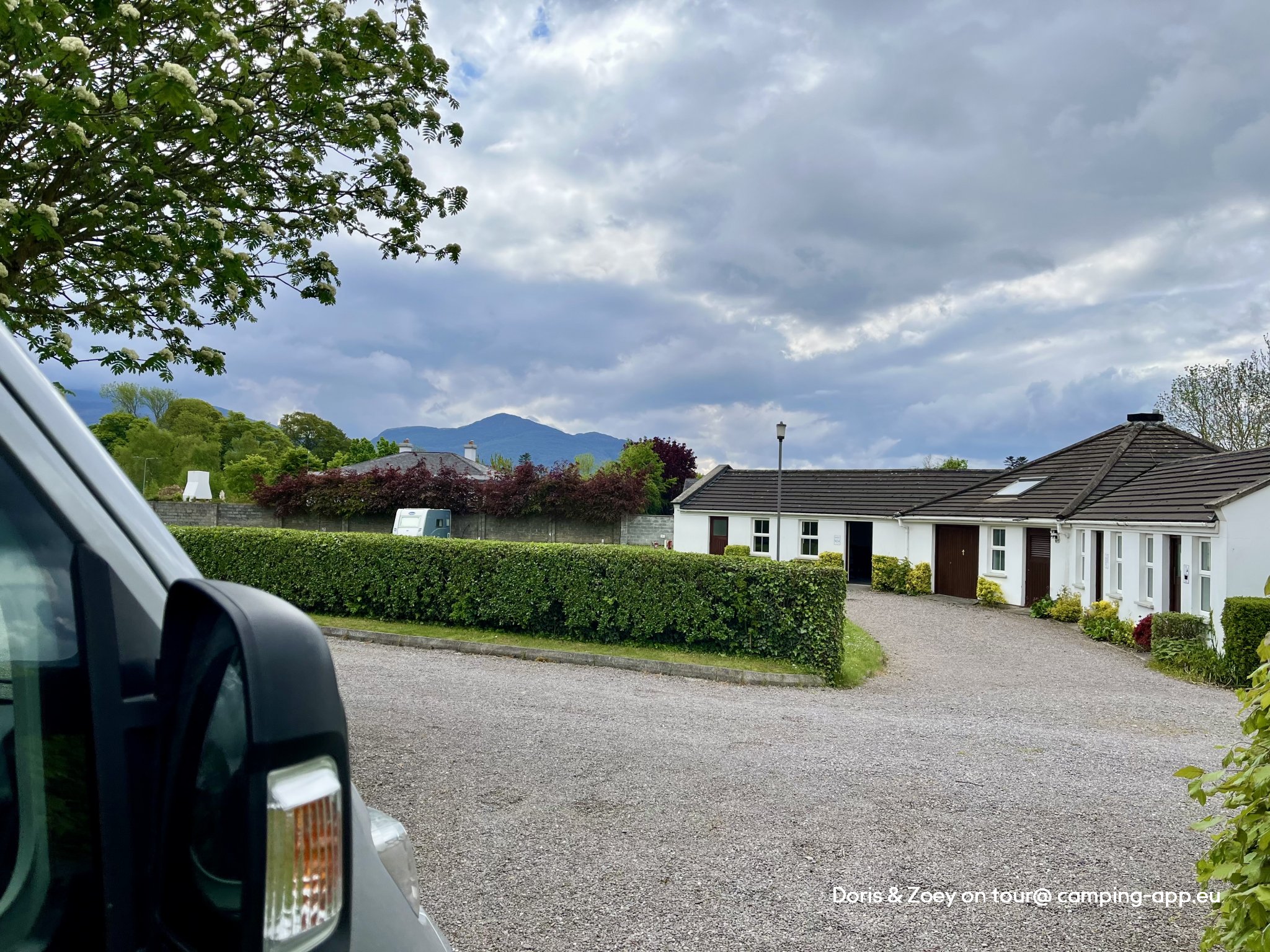 Killarney Flesk — Photo 3