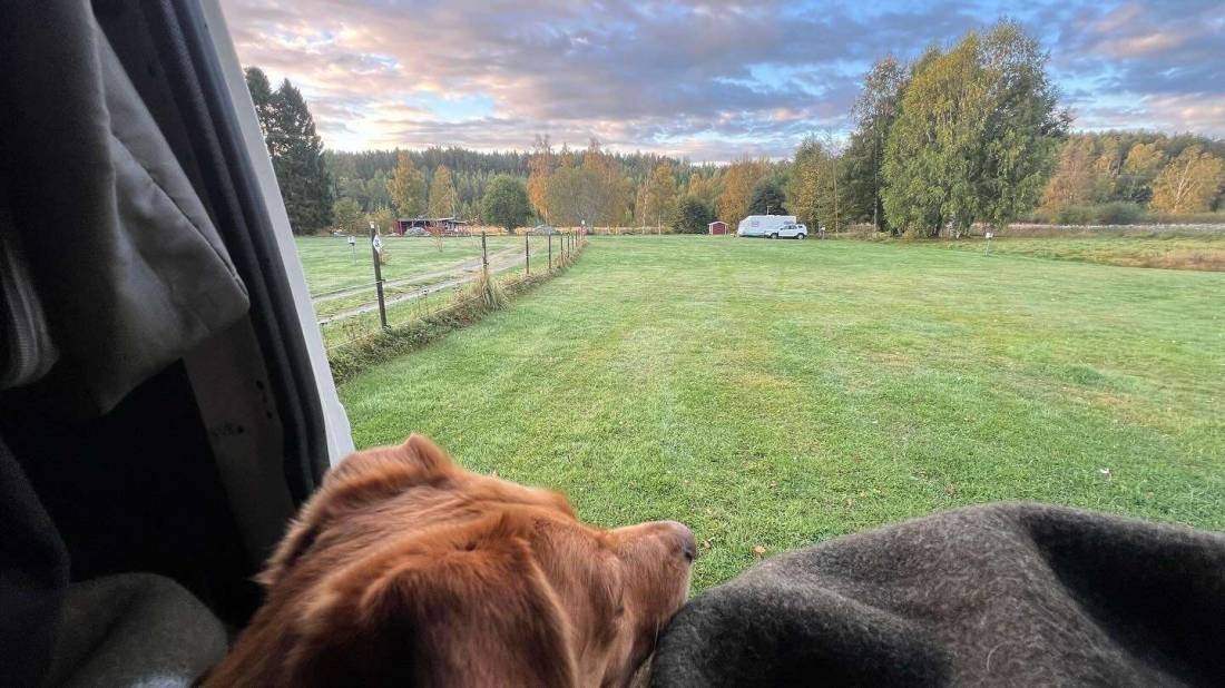 Borka Stugby o Camping — Campingplads in Enånger