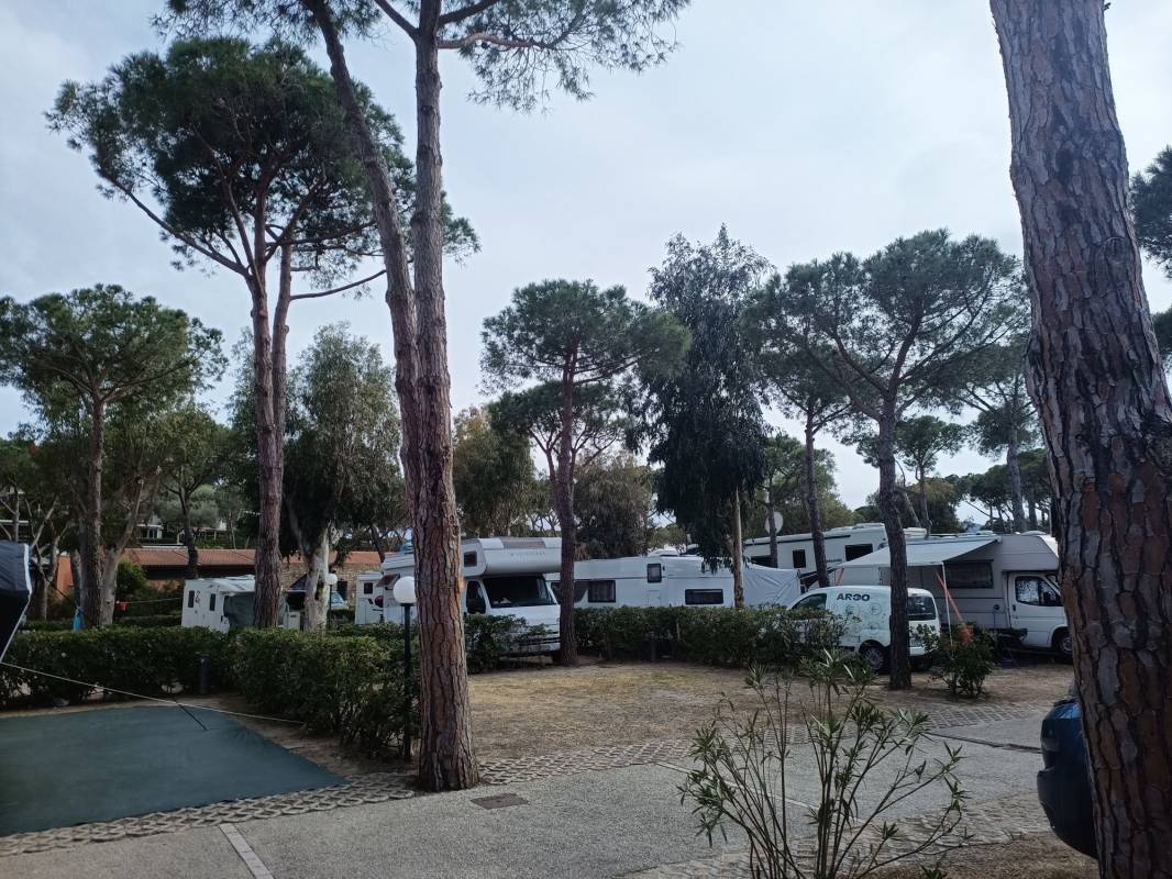Camping Ville degli Ulivi — Camping in Marina di Campo