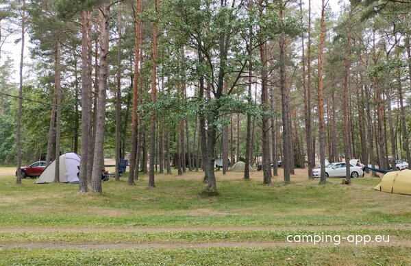Sandösunds Resort & Camping — Photo 3