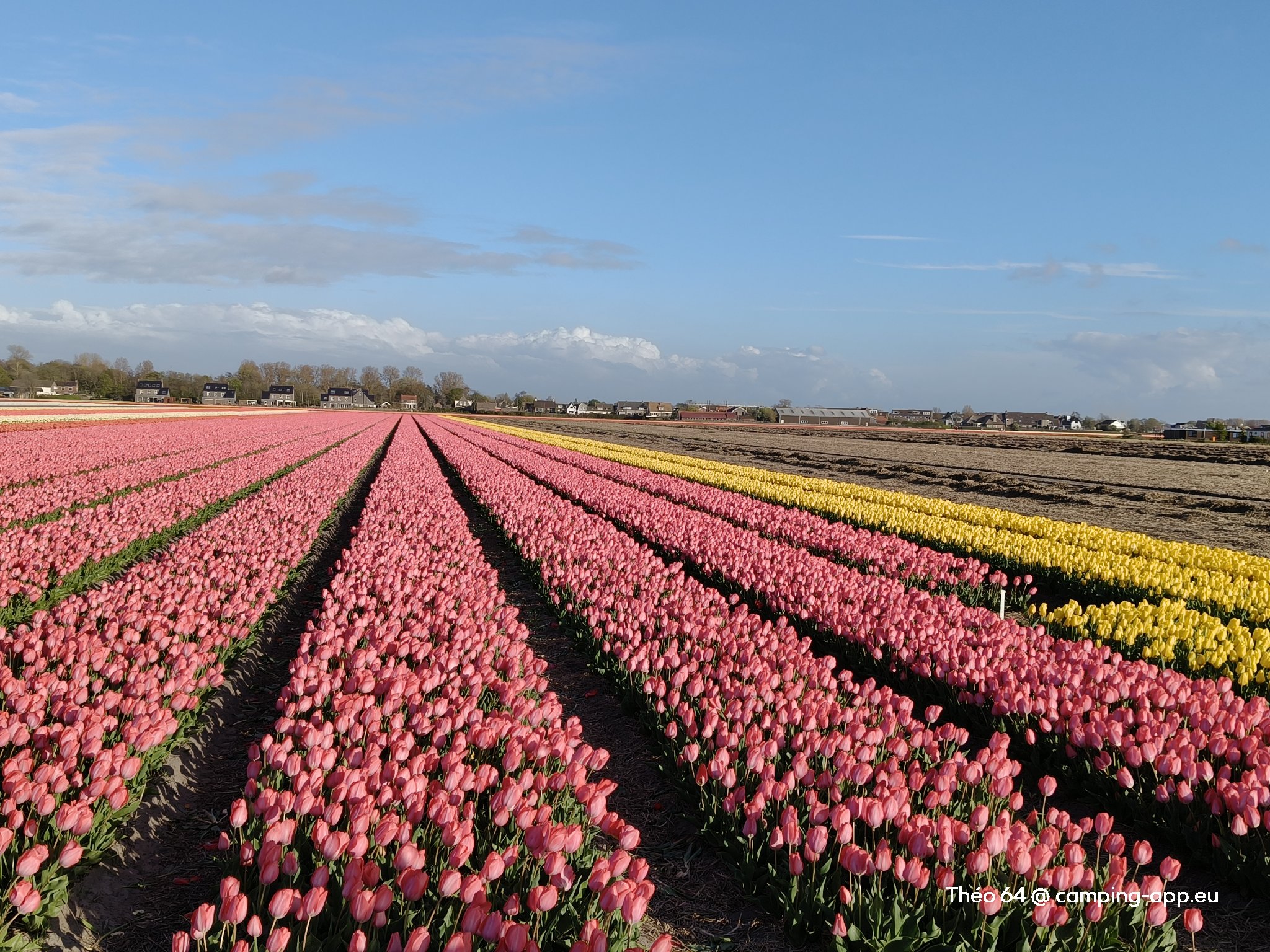 Camperplaats de Guldenroede — Photo 5
