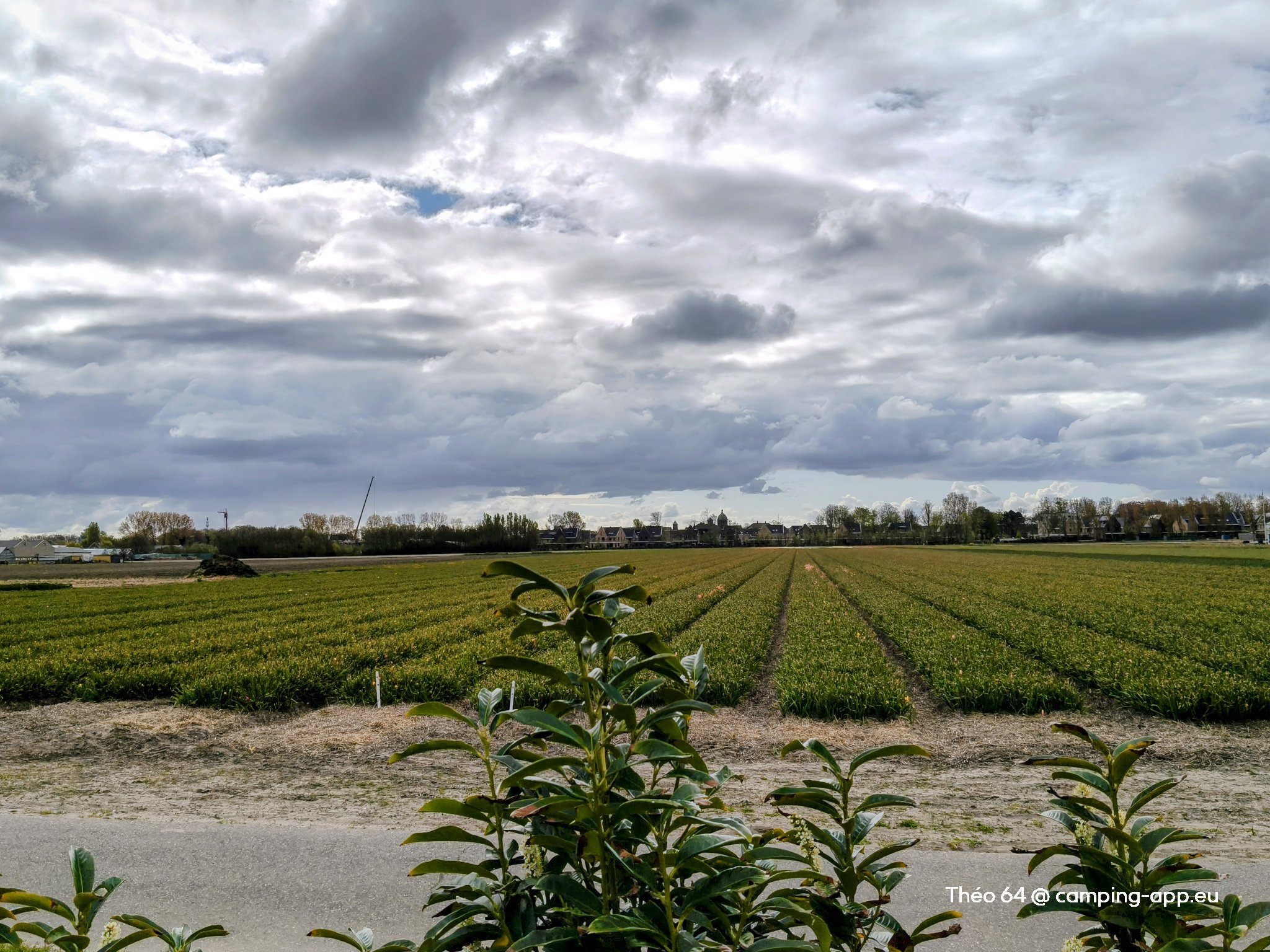 Camperplaats de Guldenroede — Photo 4