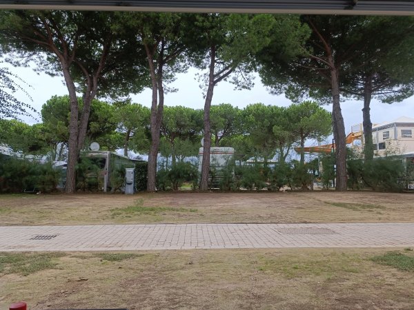 Villagio Turistico Internazionale ***** — Photo 3