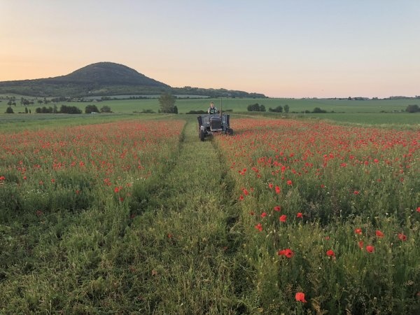 Stellplatz Rip - Mnetes — Bobilplass in Mnetěš