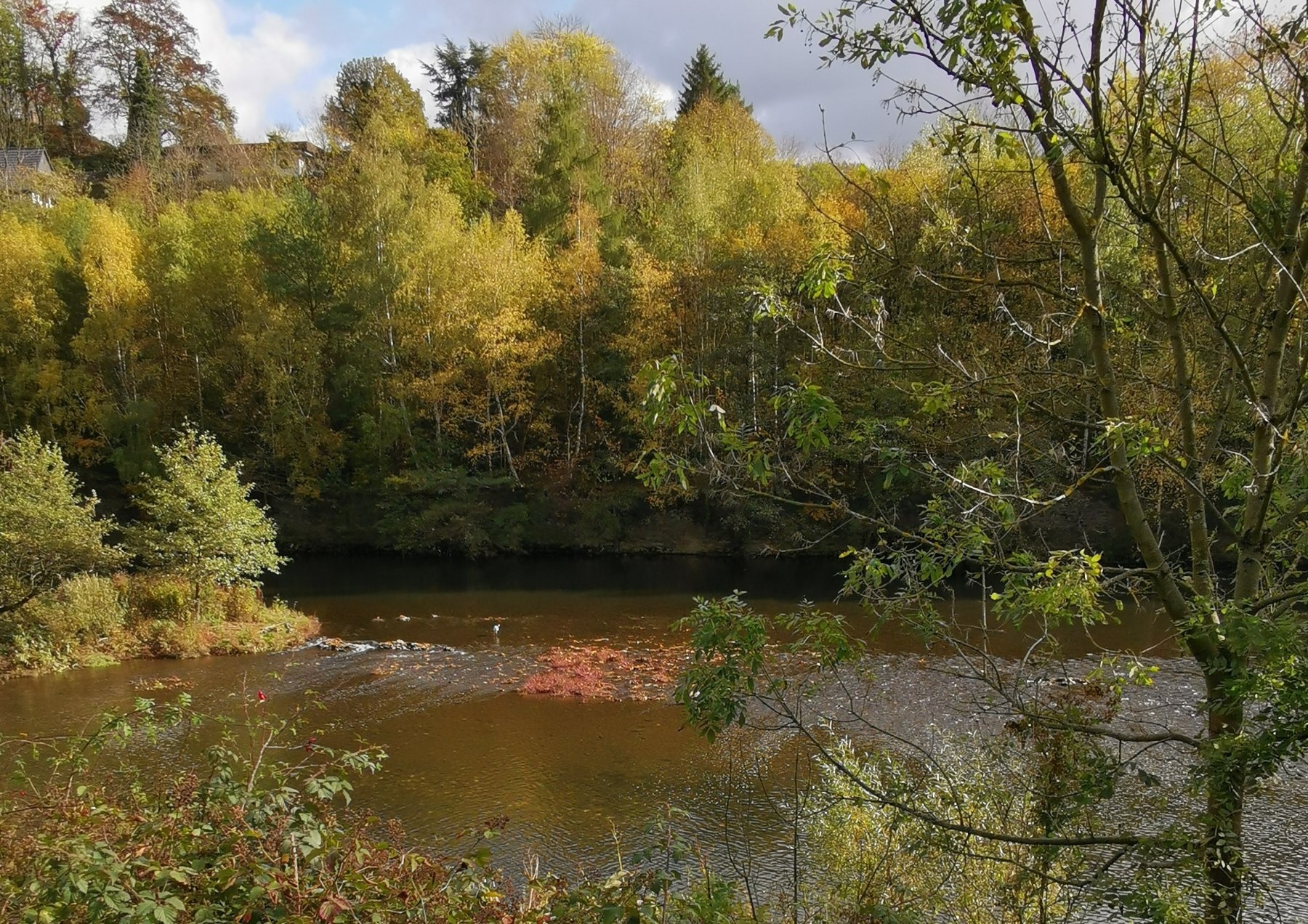 SP Sauerlandhalle — Camperplaats in Lennestadt
