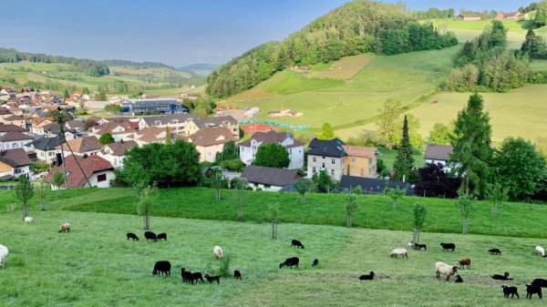 Iddaburg, Gähwil — Photo 4