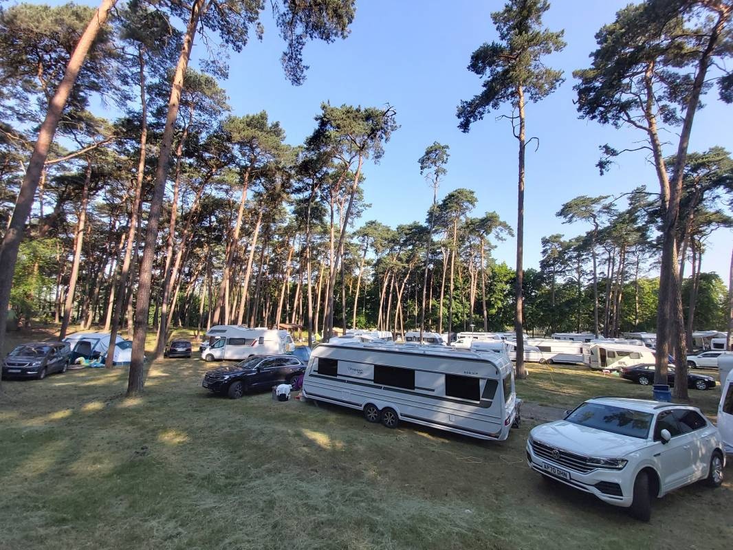 Camping Nad Lipnem — Camping in Stęszew