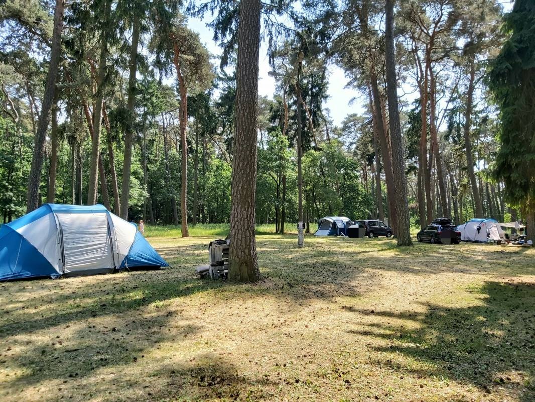 Camping Nad Lipnem — Kemping in Stęszew