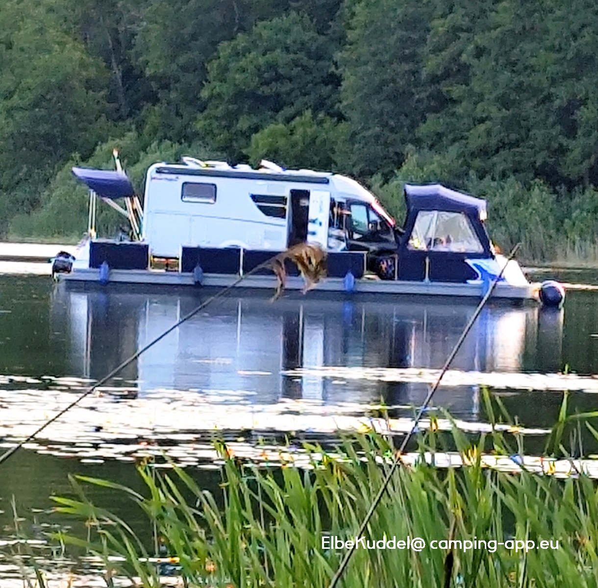 Campingplatz Am Jabelschen See C91 — Foto 2