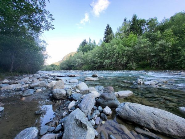 Waldcamping Batmund Familie Pfeifer — Photo 3