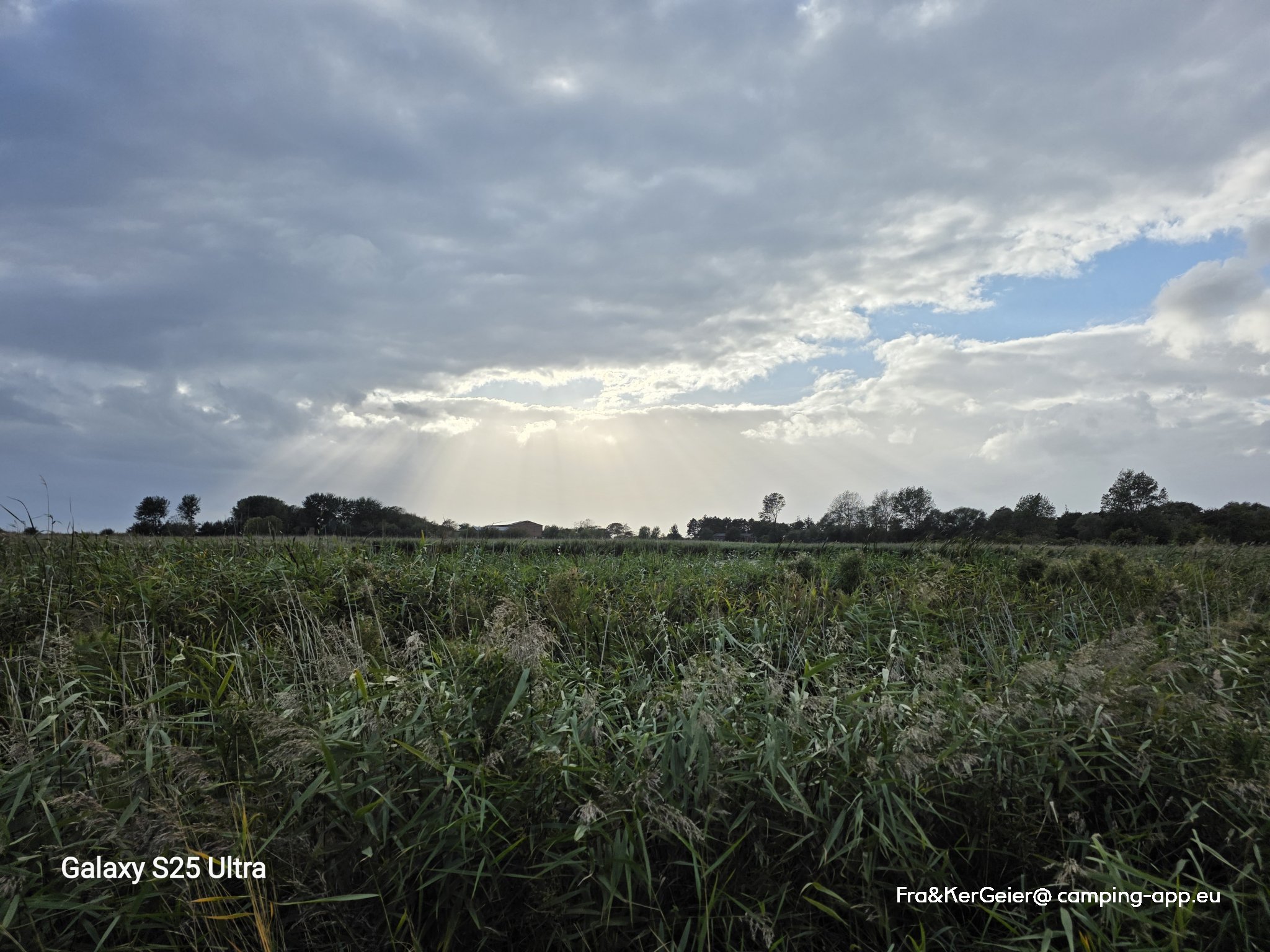 Camping Flüggerteich — Foto 3