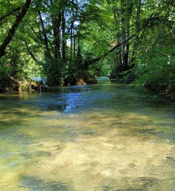 Camp Slapić — Photo 6