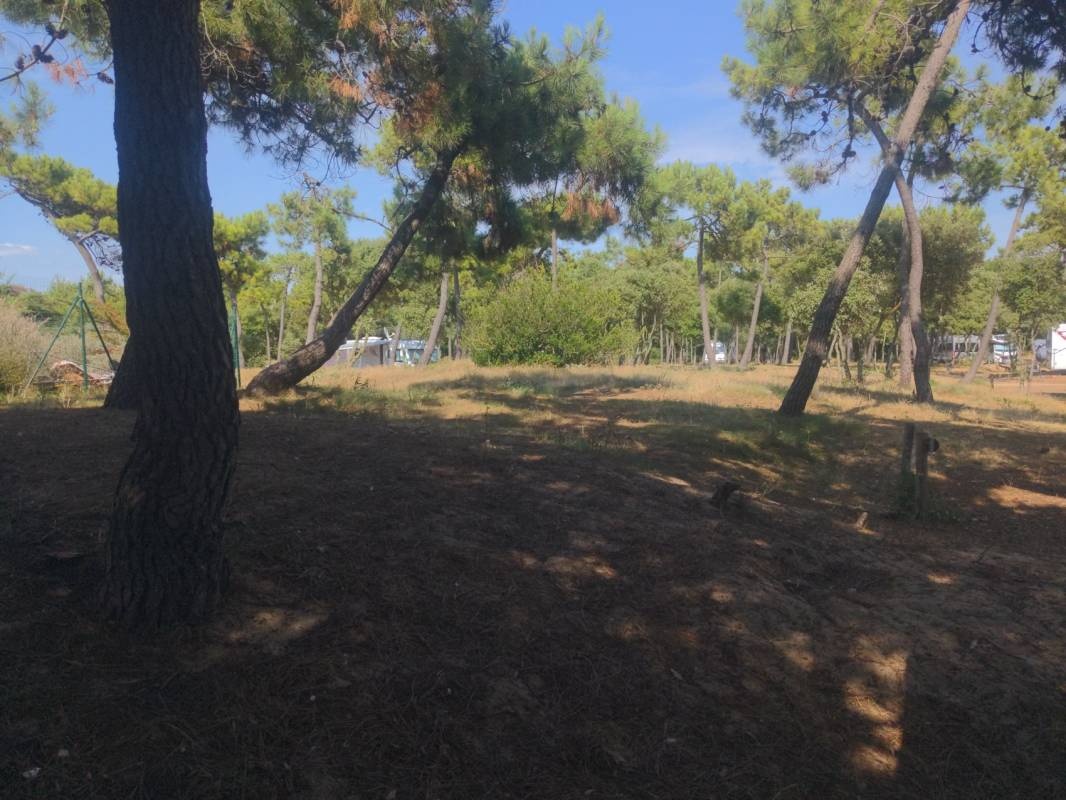 Aire Camping Car — Ställplats in La Barre-de-Monts