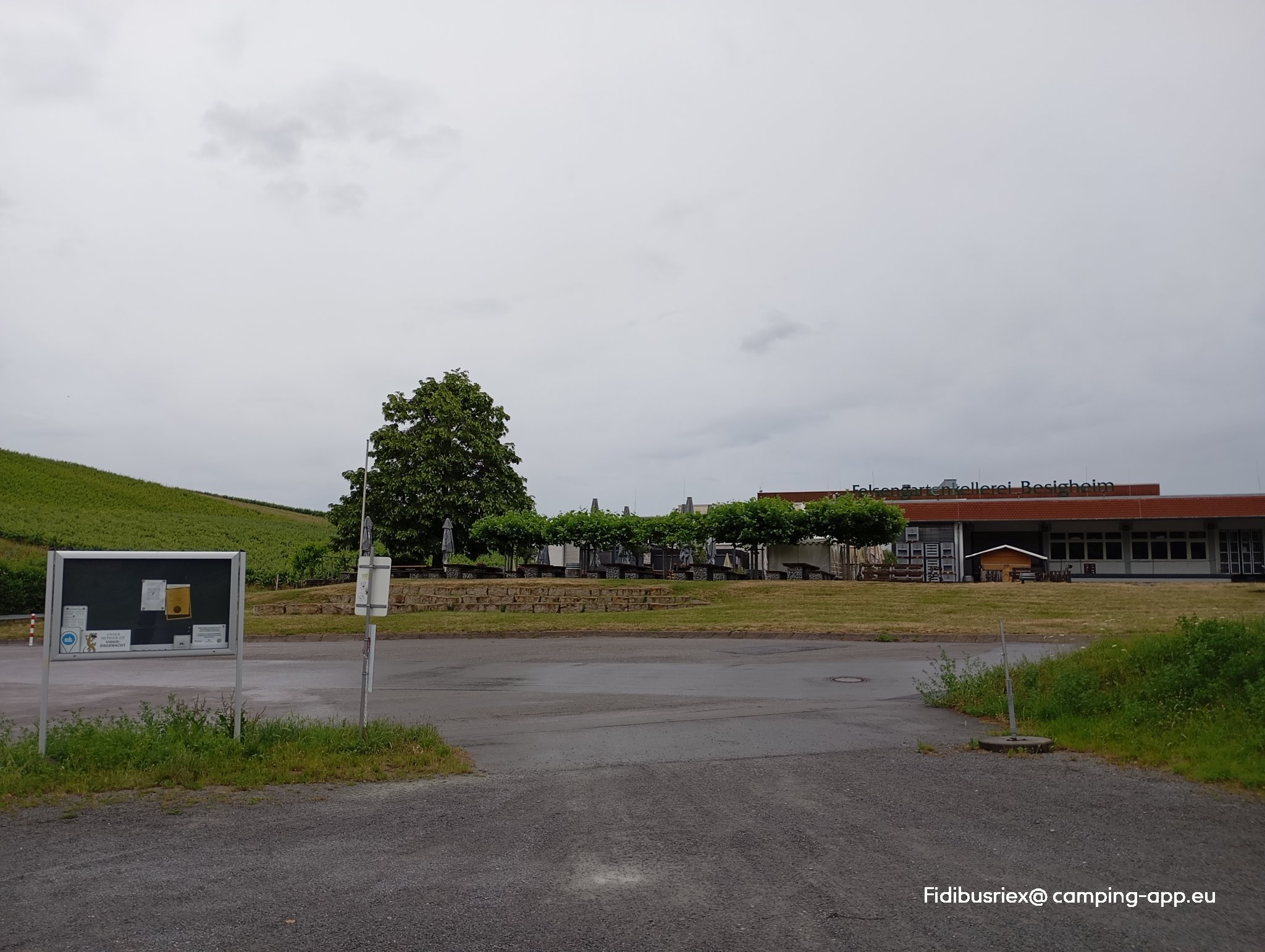 Stellplatz an der Felsengartenkellerei Hessigheim — Foto 2