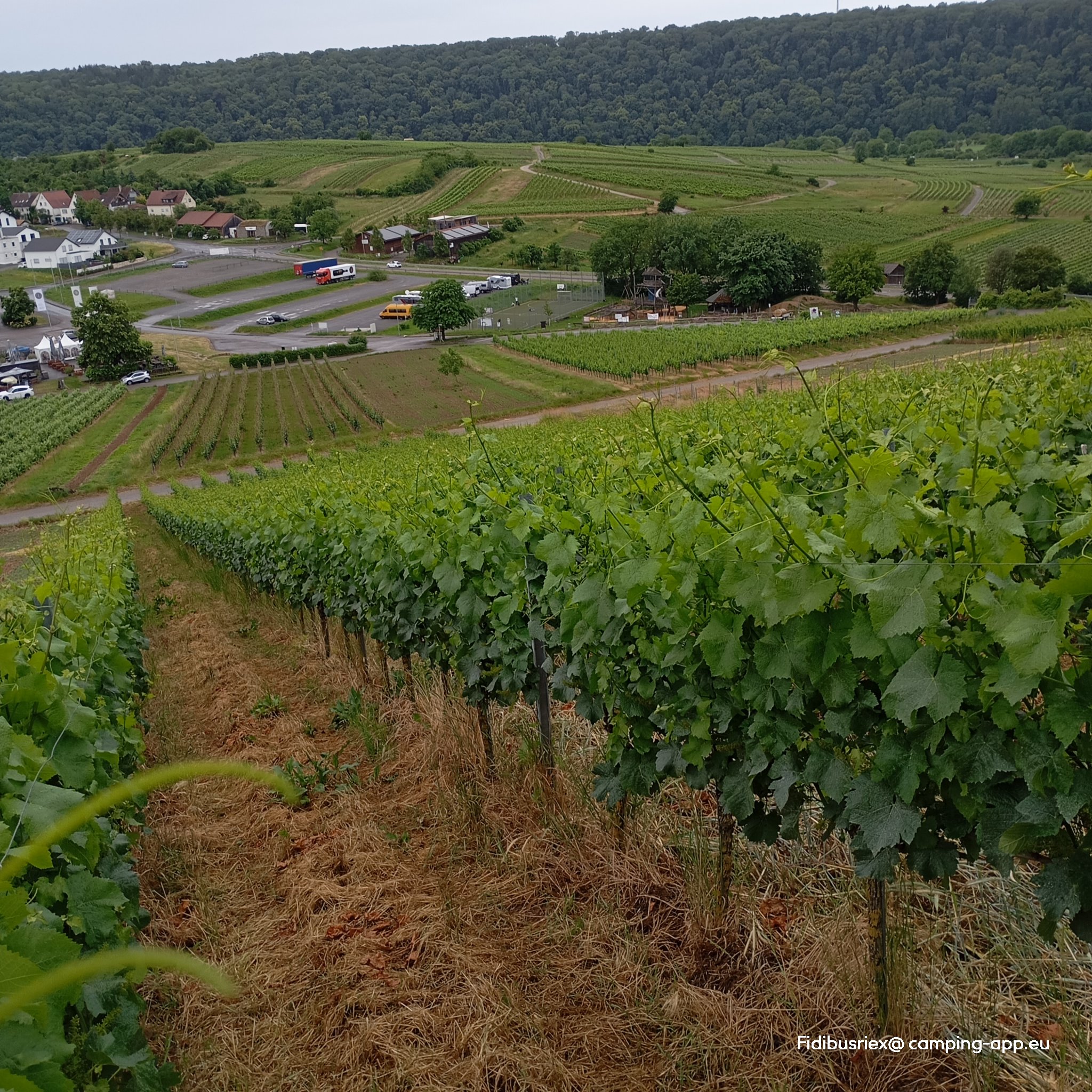 Stellplatz an der Felsengartenkellerei Hessigheim — Vinícola in Hessigheim