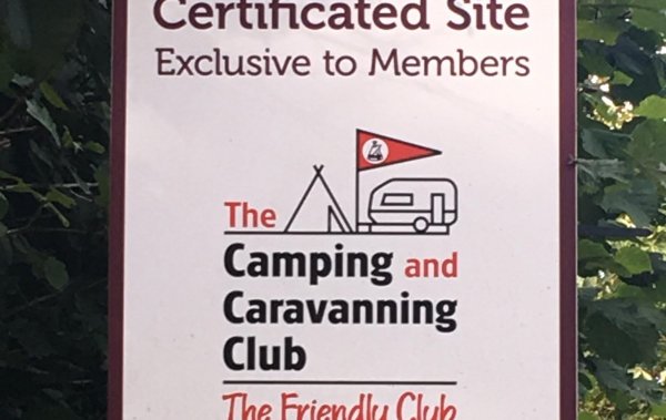 Ivyleaf Cottage Campsite — Photo 4