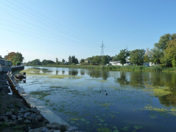 Camping Nr. 61 Elbląg — Photo 2