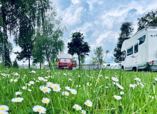 Camping Nr. 61 Elbląg — Photo 3