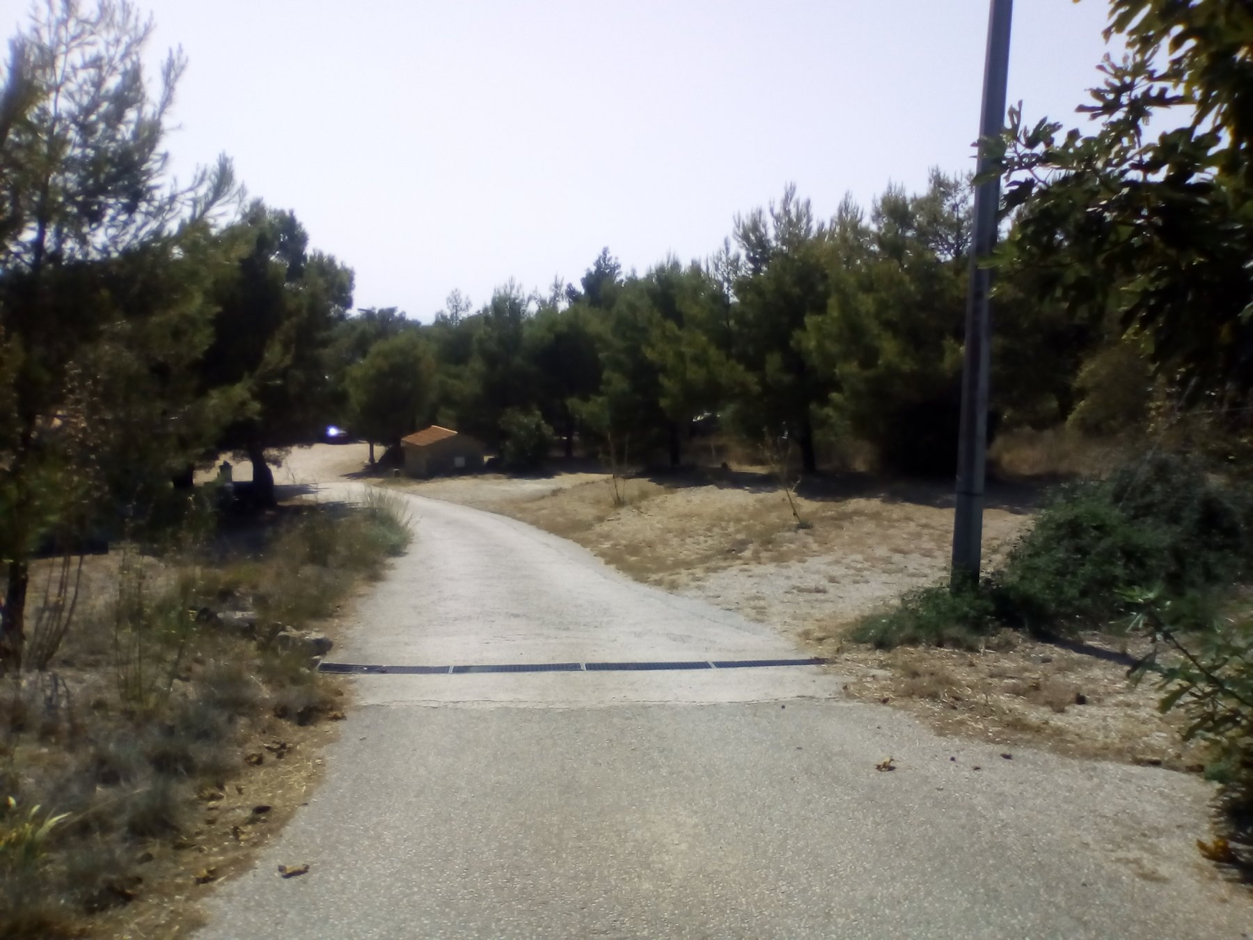 Auto Kamp Ciste — Campingplass in Drvenik