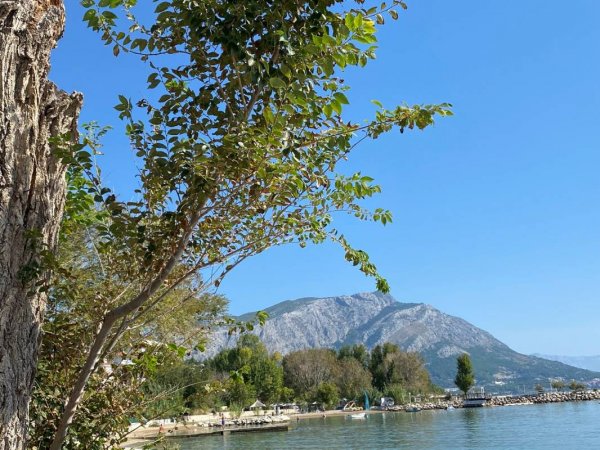 Camping Diana — Photo 5