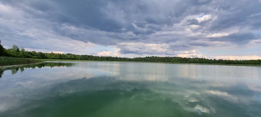 U Jawora — Kamp yeri in Suwałki