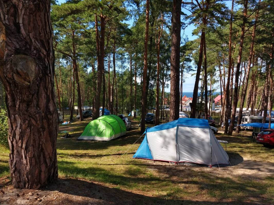 Camping Gallus (Frisches Haff) — Camping in Krynica Morska