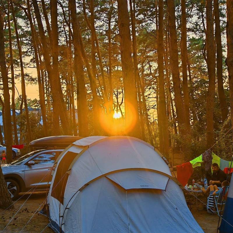 Camping Gallus (Frisches Haff) — Camping Site in Krynica Morska