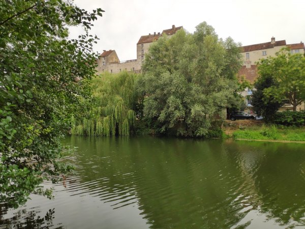 Camping La Colombière — Photo 4